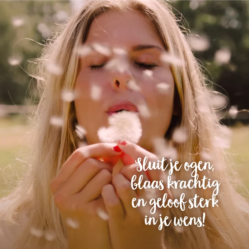 Klein wenspotje | Echt paardebloem-pluisje in glas