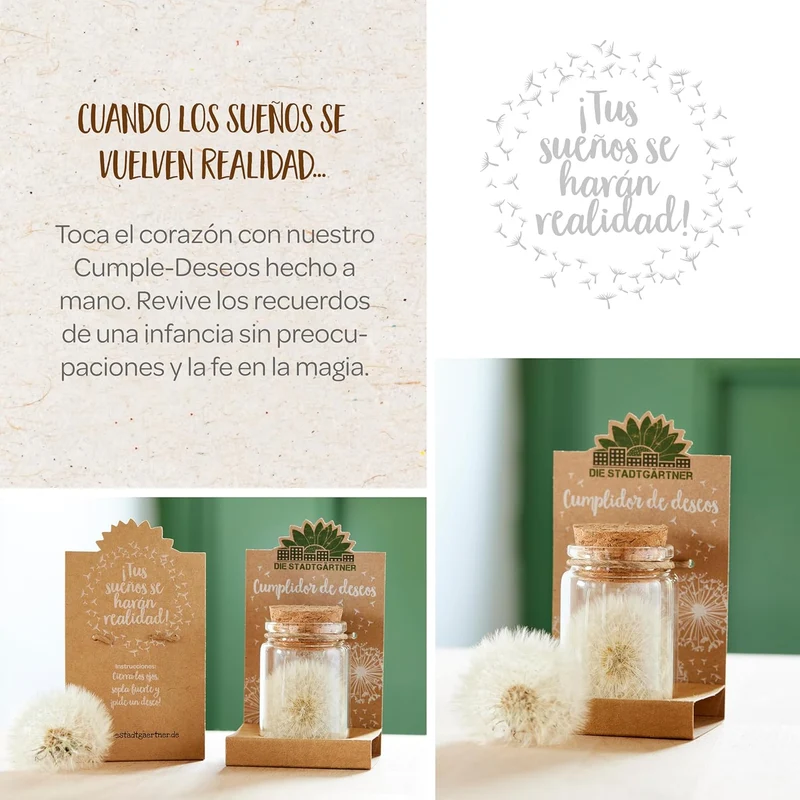 Cumple-Deseos - Verdadero Diente de León en un Frasco
