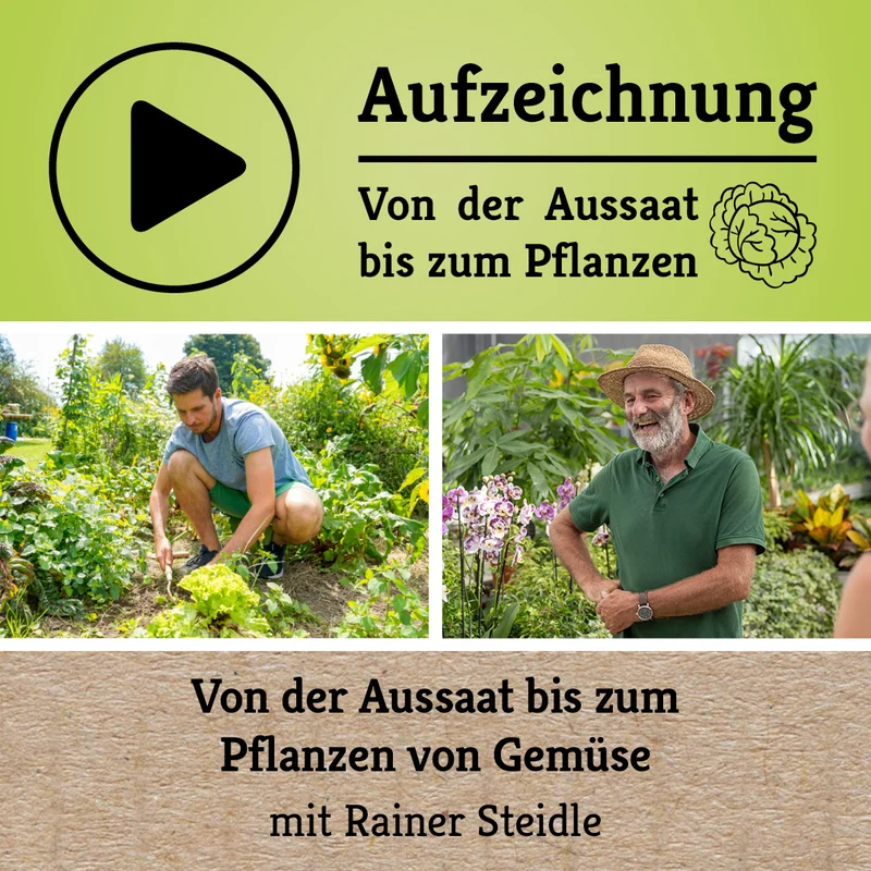Webinar Aufzeichnung - Von der Aussaat bis zum Pflanzen von Gemüse