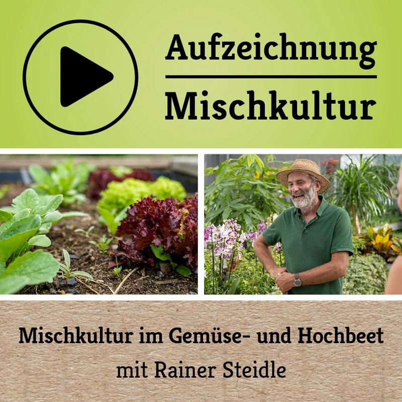 Webinar Aufzeichnung - Mischkultur im Gemüse- und Hochbeet