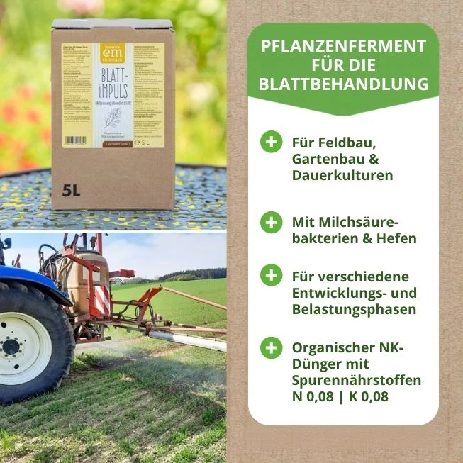 Blattimpuls ® · Pflanzenferment mit ausgesuchten regionalen Kräutern und ihrer eigenen Mikroflora für Blattspritzungen