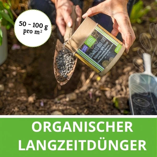 Schwarzes Gold Forte - organischer Terra Preta Dünger
