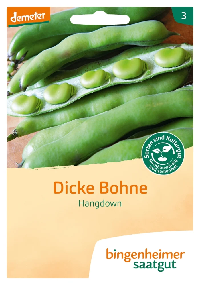 BIO Saatgut Dicke Bohne Hangdown grünkernig