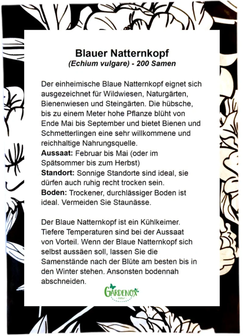 Blauer Natternkopf Samen Echium vulgare ab 500 Samen