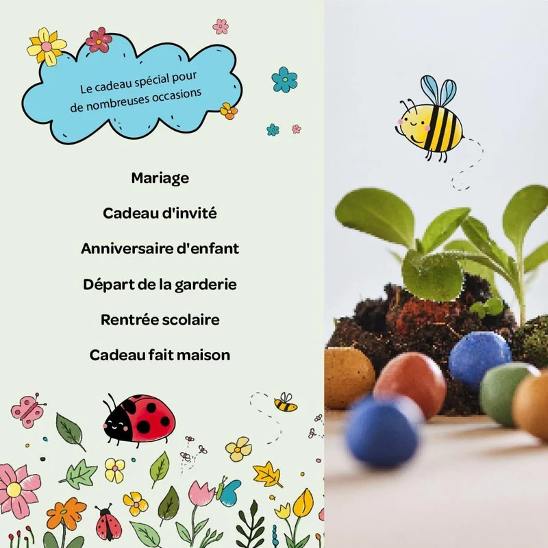 Les billes de fleurs - 25 bombes à graines colorées faites main