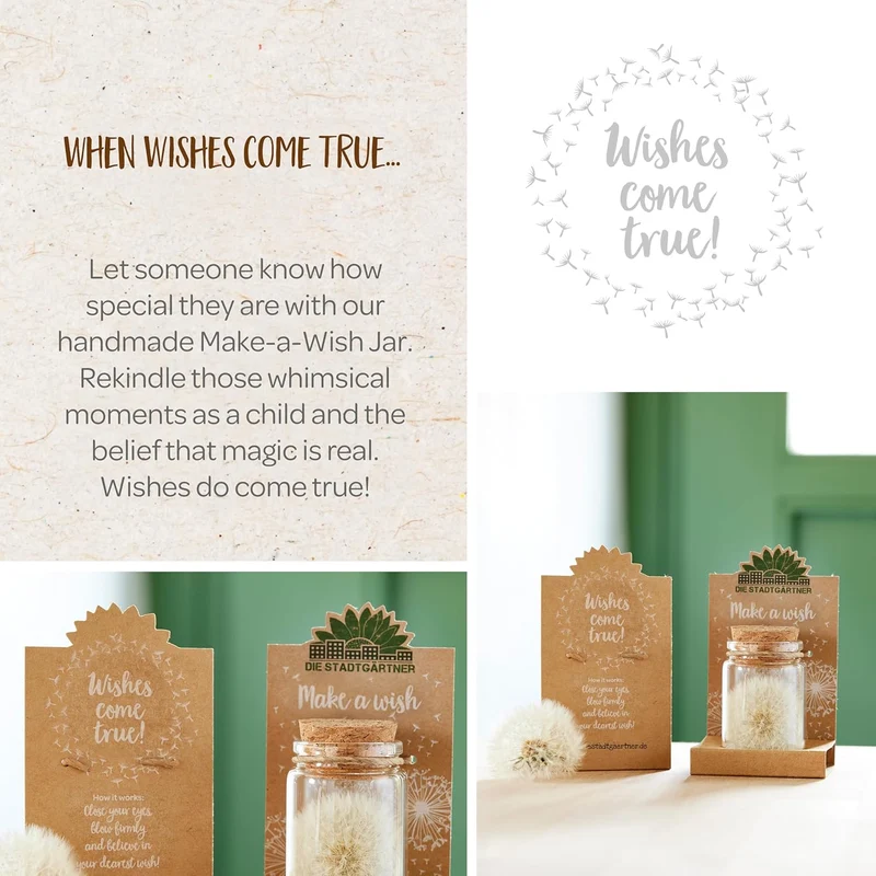 Make-A-Wish - Real Dandelion