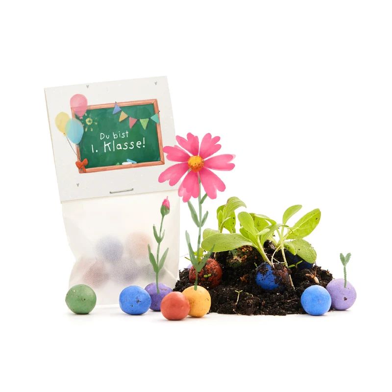 5 Blumenmurmeln im Tütchen zur Einschulung "Du bist 1. Klasse"