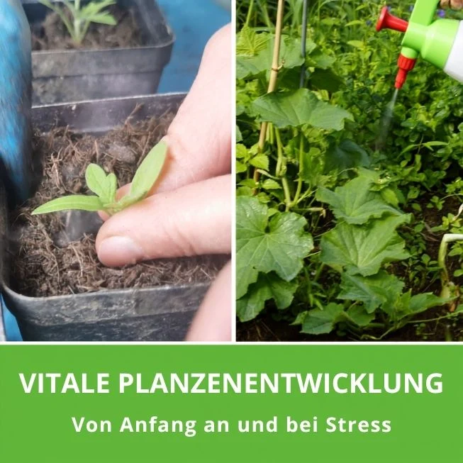 Blattagil ® zur Steigerung der Pflanzenvitalität