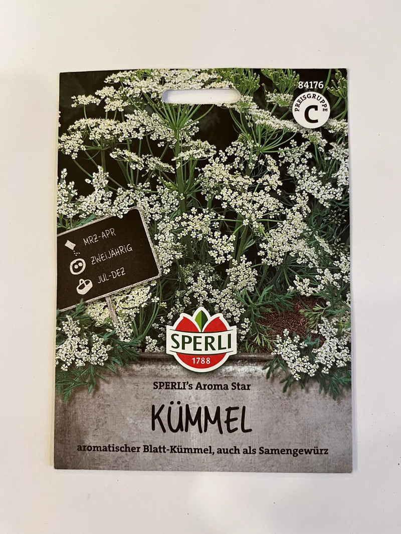 Kümmel
