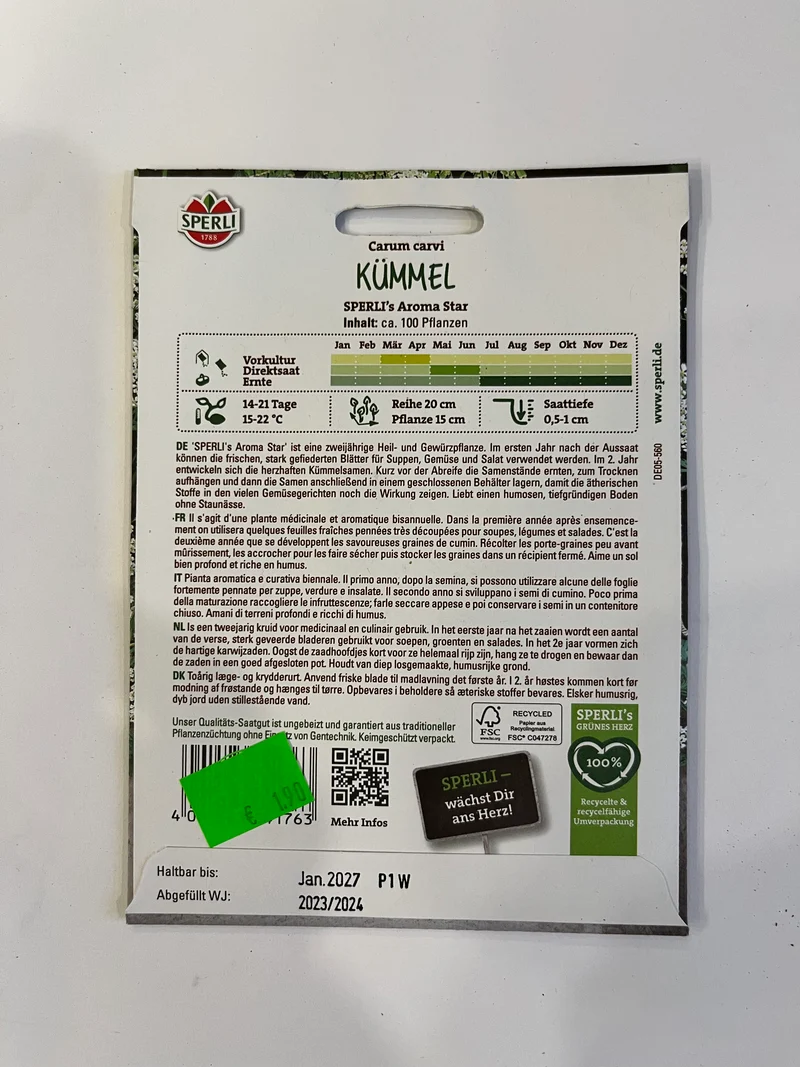 Kümmel