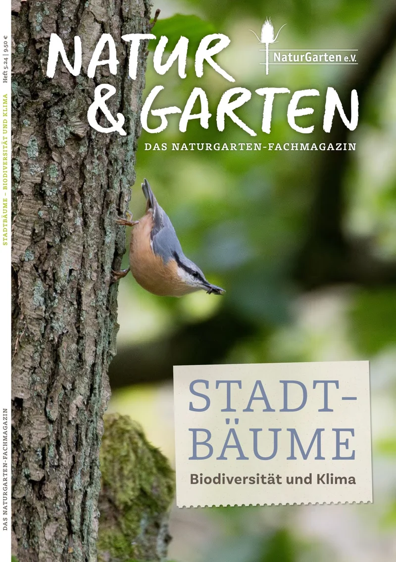 Stadtbäume - Biodiversität und Klima