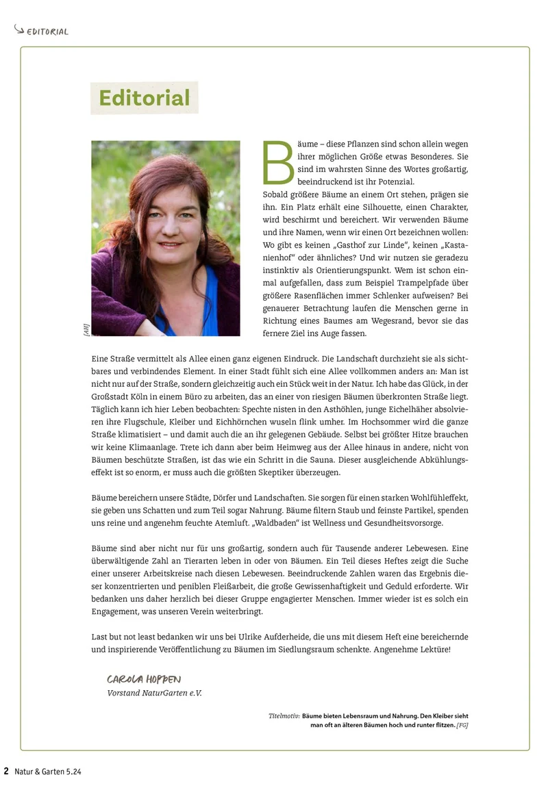Stadtbäume - Biodiversität und Klima