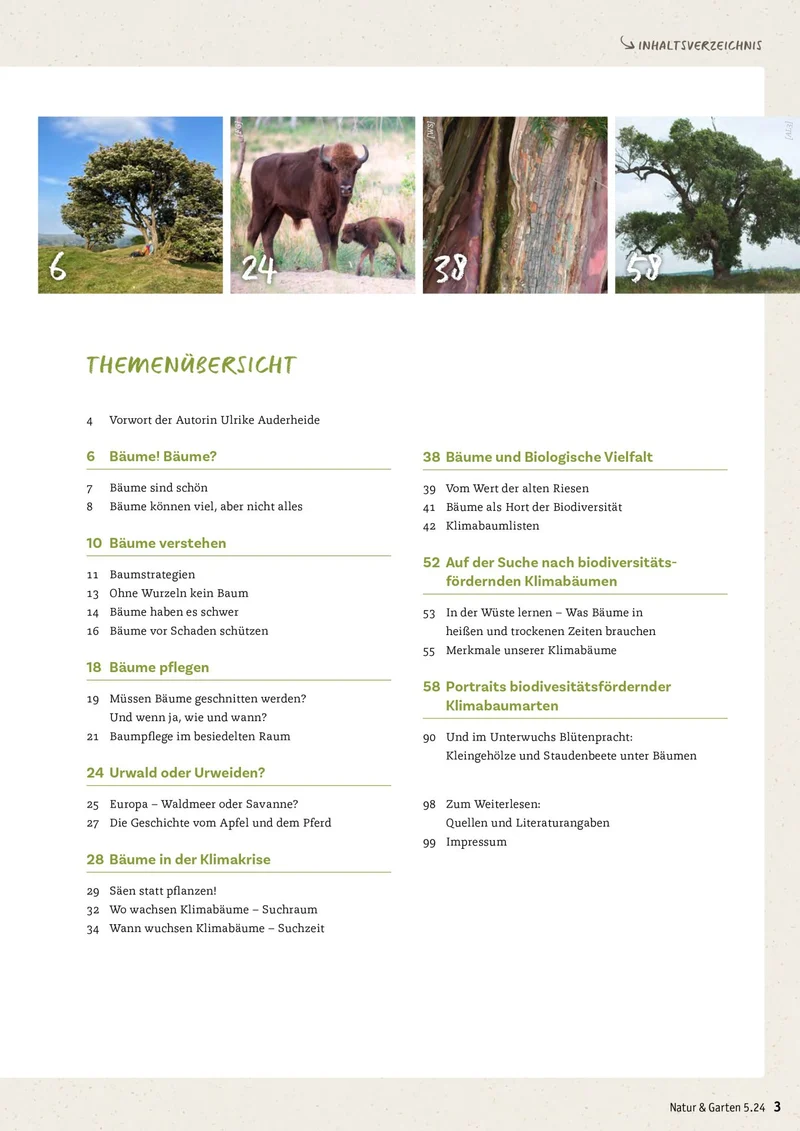 Stadtbäume - Biodiversität und Klima