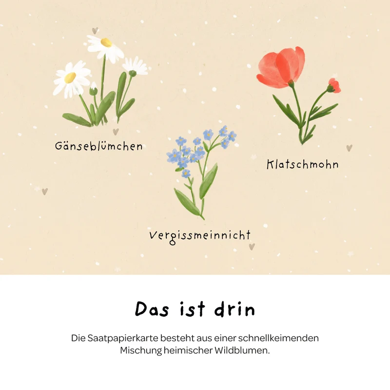 Grußkarte - Alles Gute zum Geburtstag