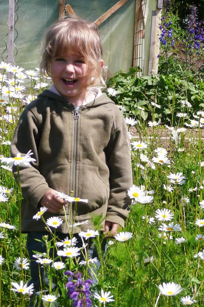 Blumen-Kräuter-Klimarasen (100g)