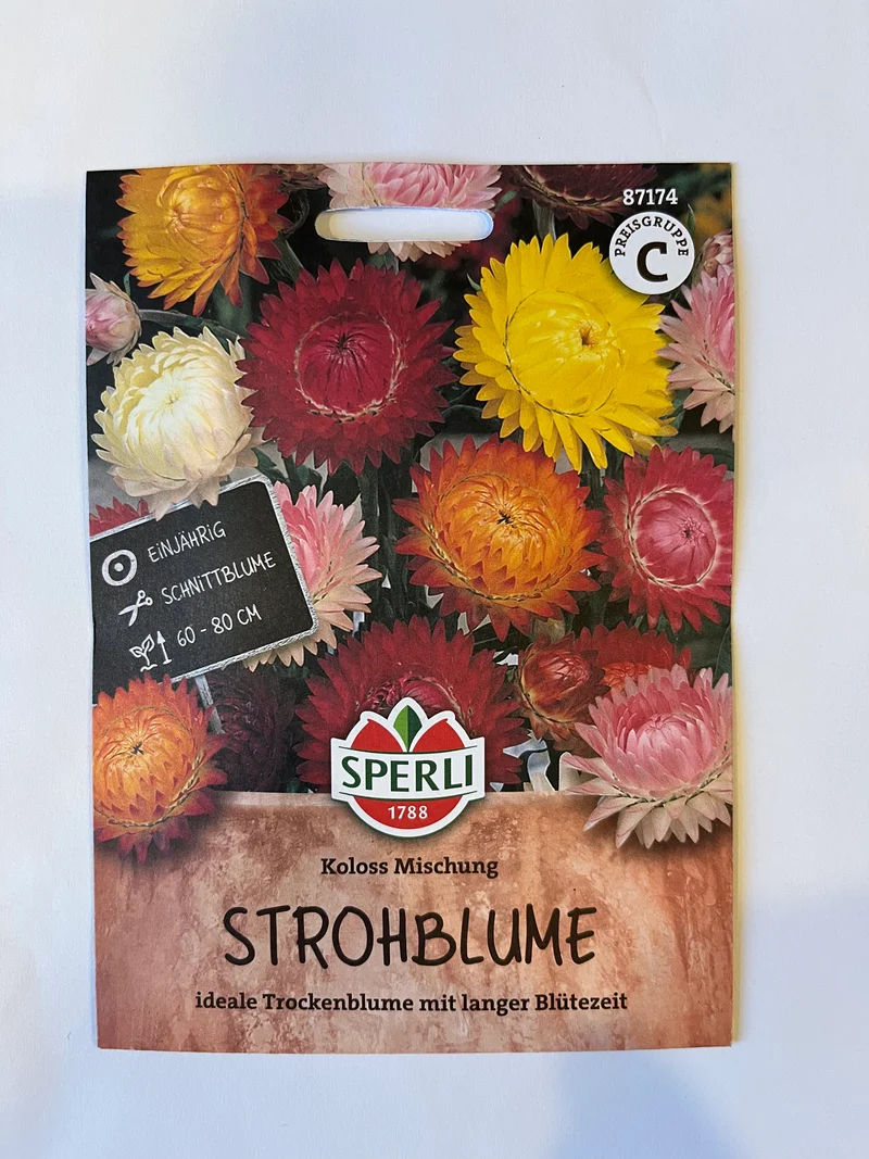 Strohblume