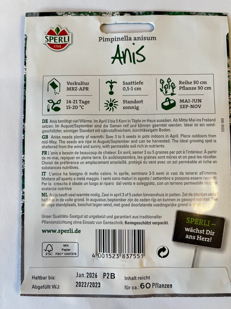Anis
