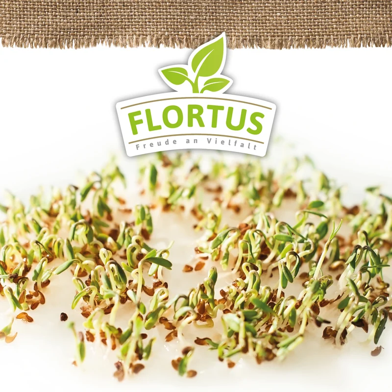 Keimsprossen Kresse | BIO Keimsprossen von FLORTUS