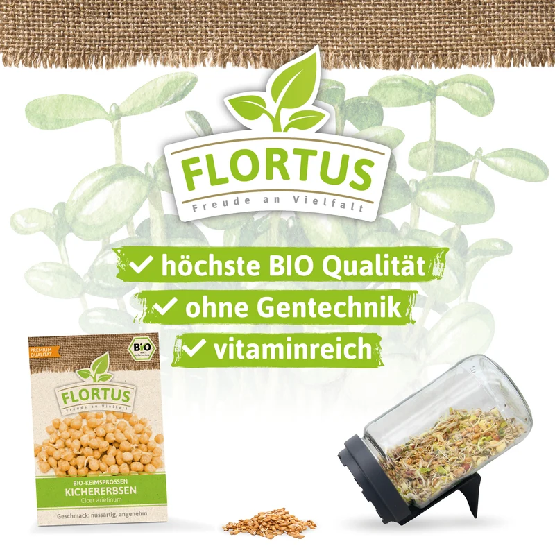 Keimsprossen Kichererbse | BIO Keimsprossen von FLORTUS