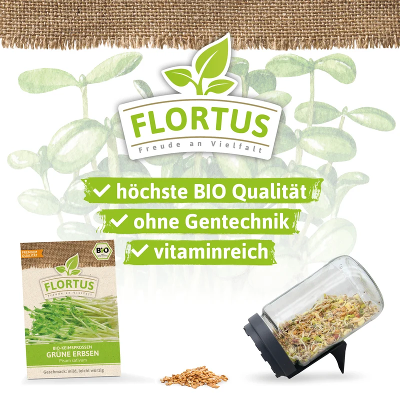 Keimsprossen Gruene Erbsen | BIO Keimsprossen von FLORTUS