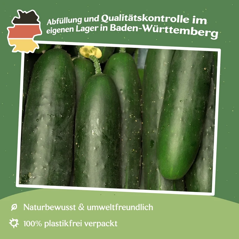 Salatgurke Sonja Samen