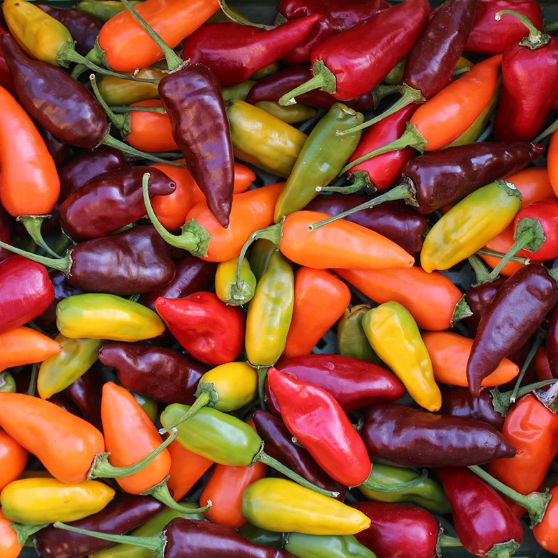Peper - Mix