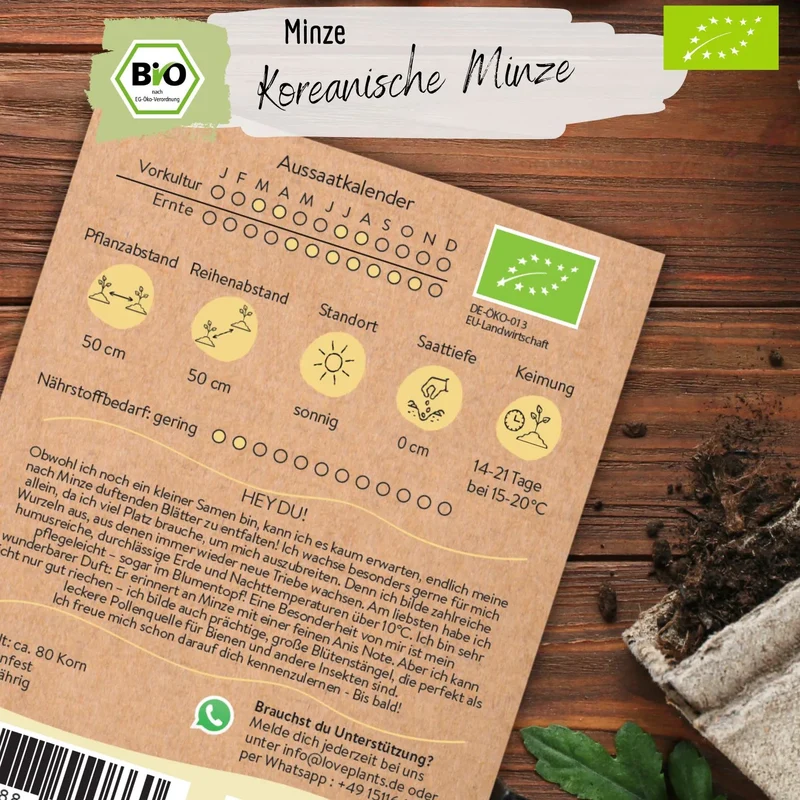 Bio Koreanische Minze Samen