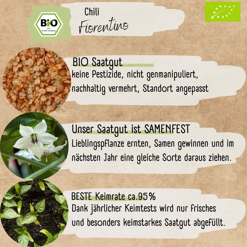 Bio Fiorentino Samen