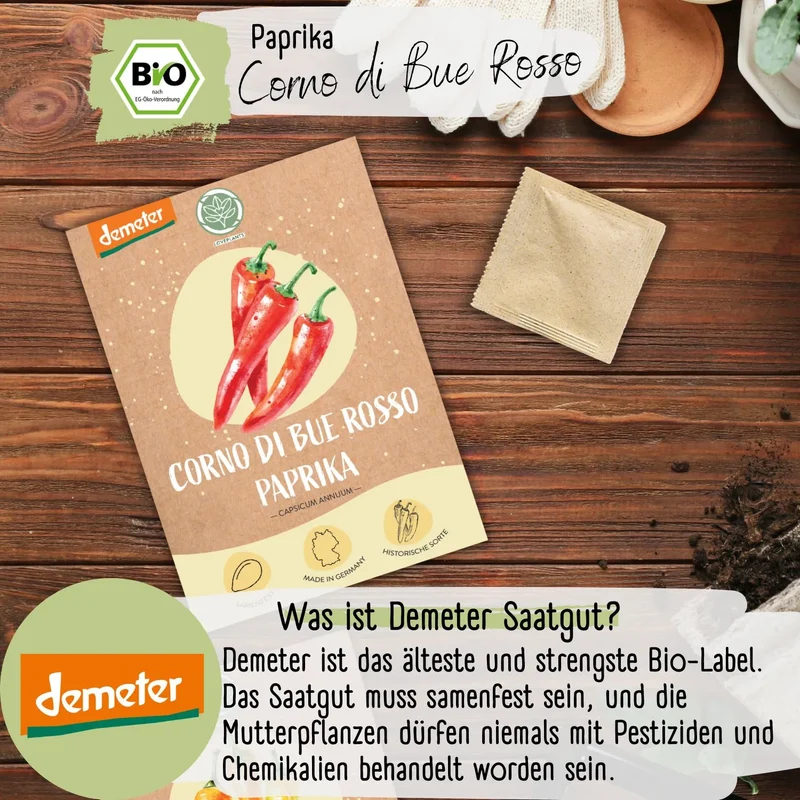 Bio Paprika Corno di bue Rosso Samen