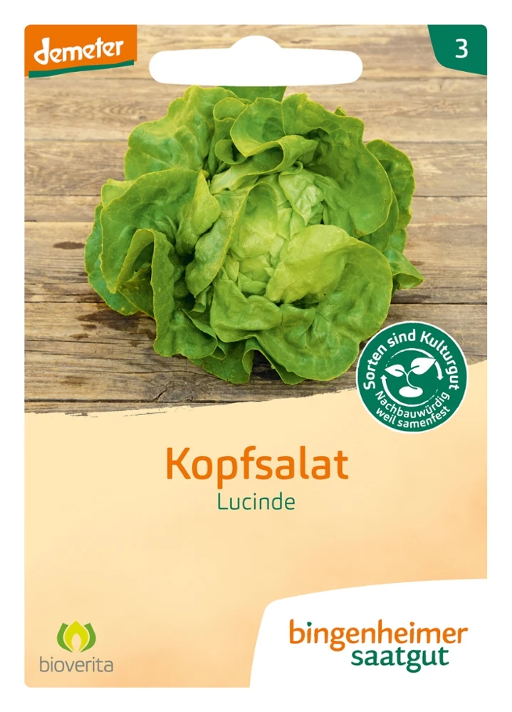 BIO Saatgut Kopfsalat Lucinde