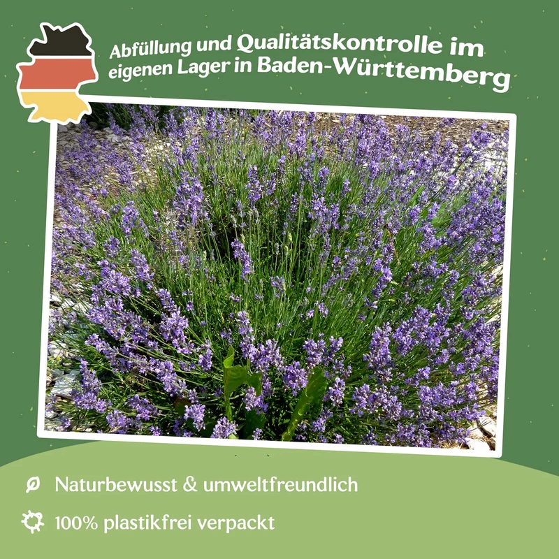 Echter Lavendel Samen MHD 06/27