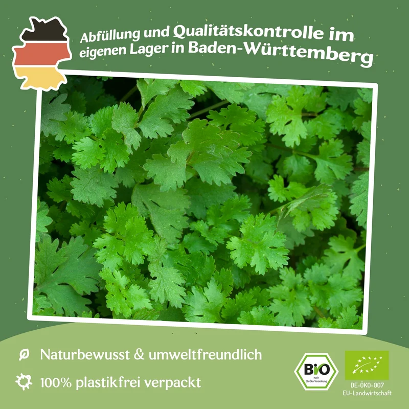 Bio-Koriander Samen