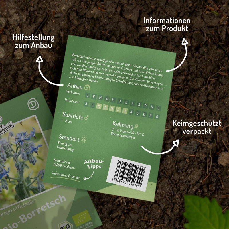 Bio-Borretsch (Gurkenkraut) Samen