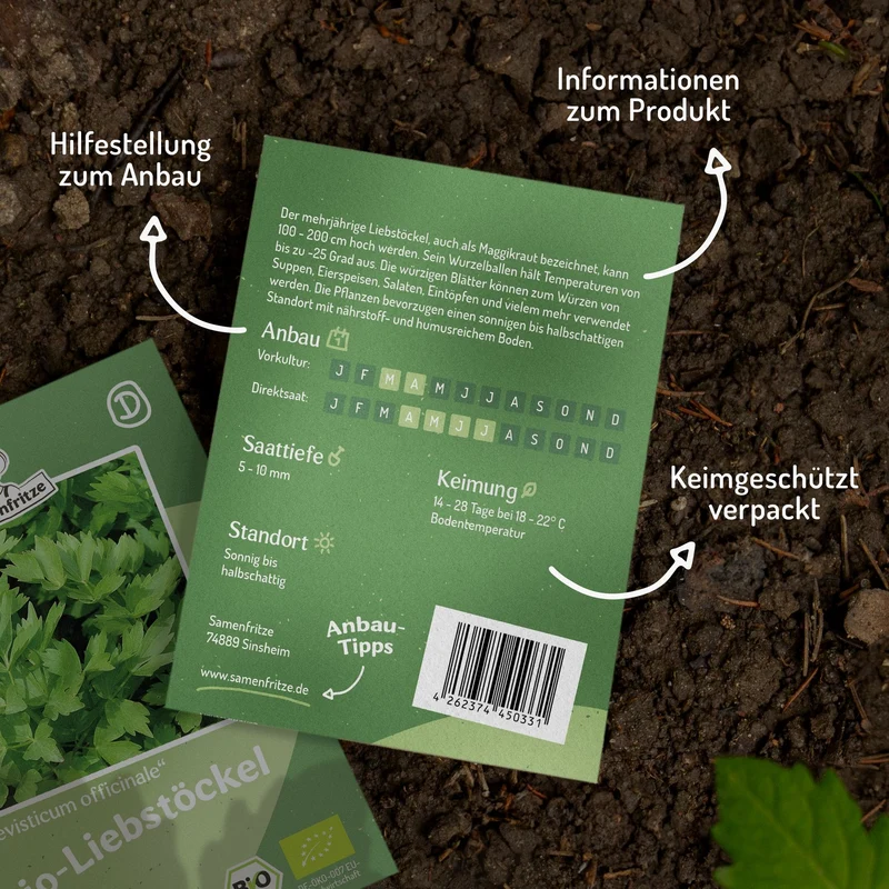 Bio-Liebstöckel, Maggikraut Samen, Levisticum officinale