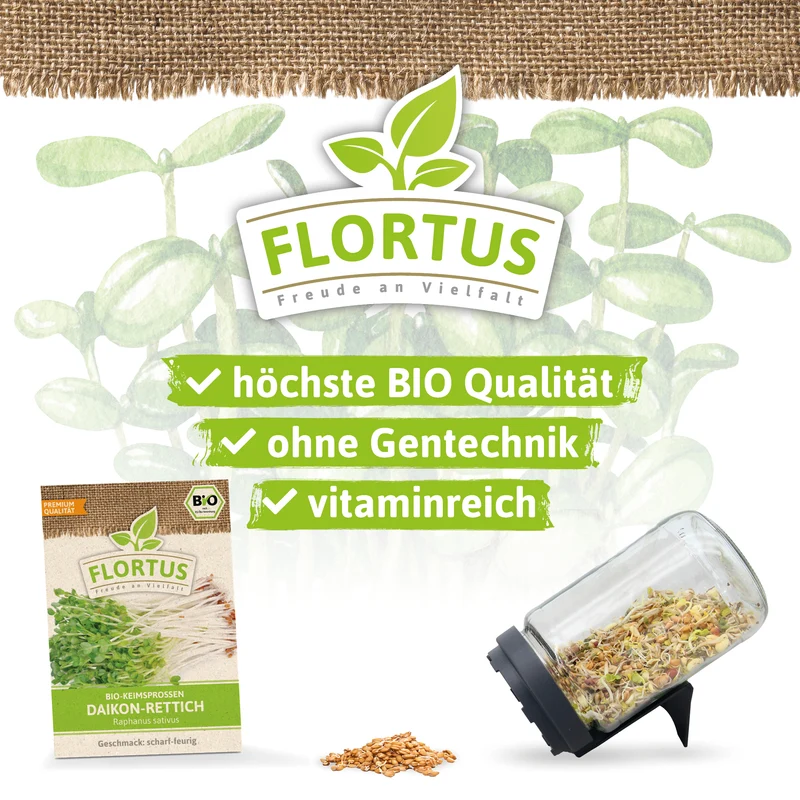 Keimsprossen Daikon-Rettich | BIO Keimsprossen von FLORTUS