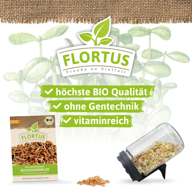 Keimsprossen Bockshornklee | BIO Keimsprossen von FLORTUS