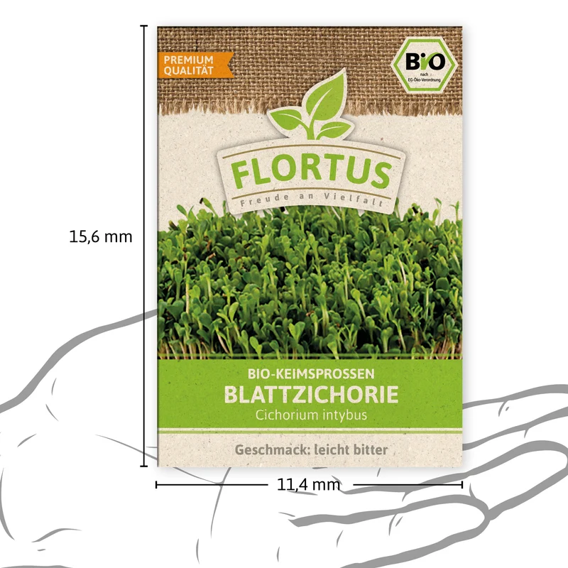 Keimsprossen Blattzichorie | BIO Keimsprossen von FLORTUS