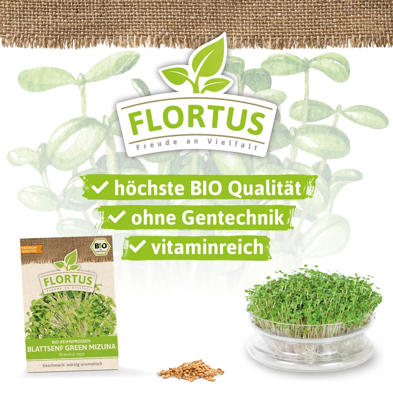 Keimsprossen Blattsenf Green Mizuna | BIO Keimsprossen von FLORTUS