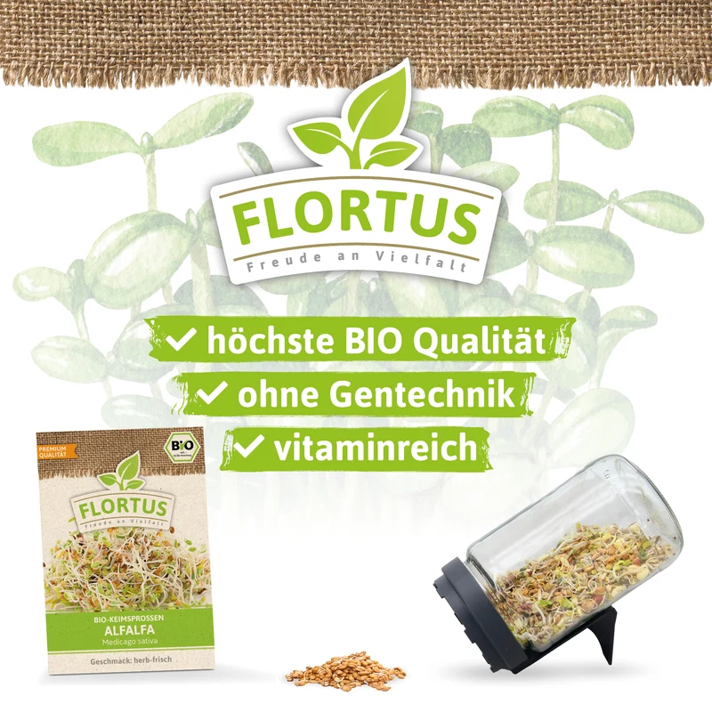 Keimsprossen Alfalfa | BIO Keimsprossen von FLORTUS