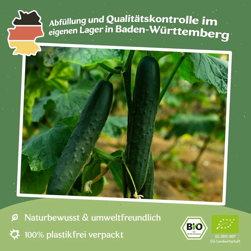 Bio-Salatgurke Marketmore Samen