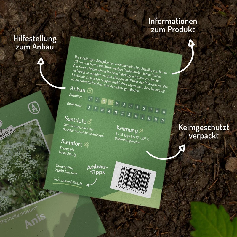 MHD 06/26 Anis Samen, Pimpinella anisum