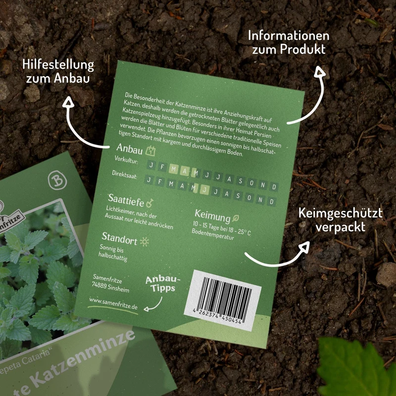 Echte Katzenminze Samen, Nepeta cataria
