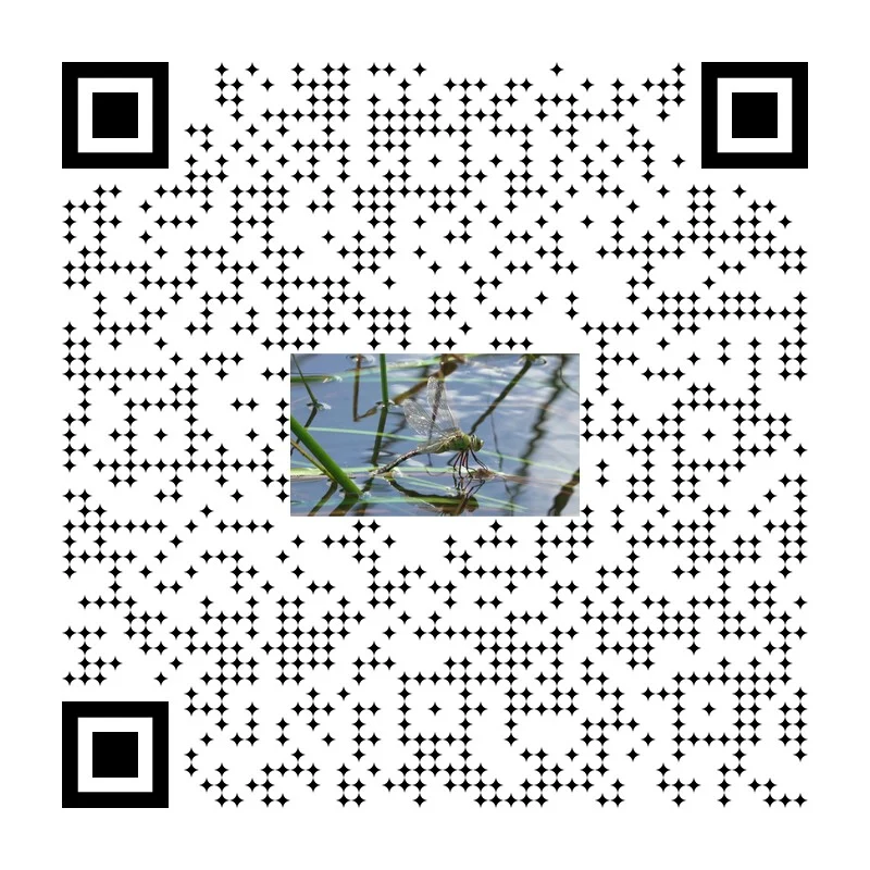 Naturnahe Wasserwelten bauen