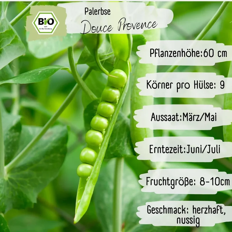 Bio Palerbse Douce Provence Samen