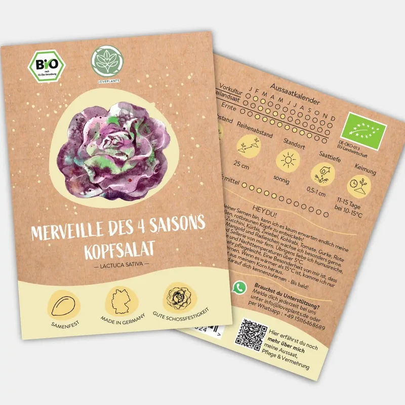 Bio Kopfsalat des 4 Saisons Samen