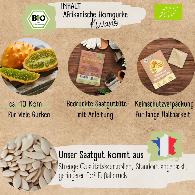 Bio Afrikanische Horngurke Kiwano Samen