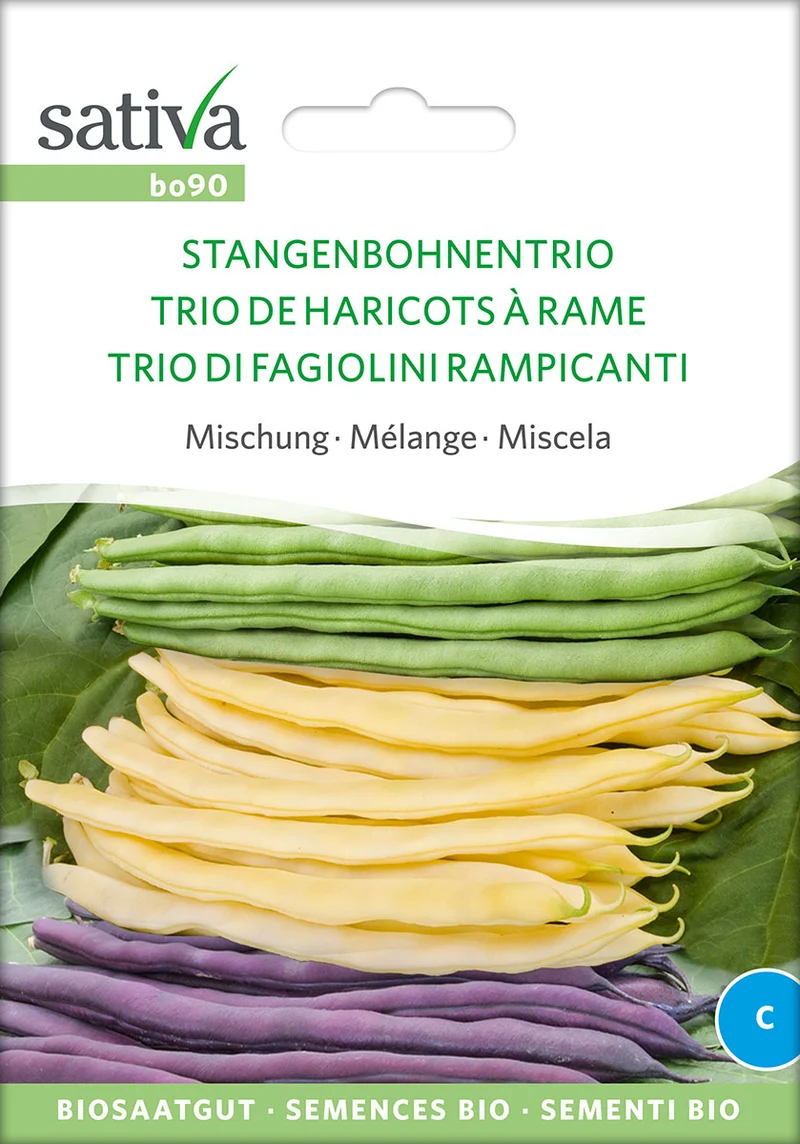 BIO Saatgut Stangenbohnentrio