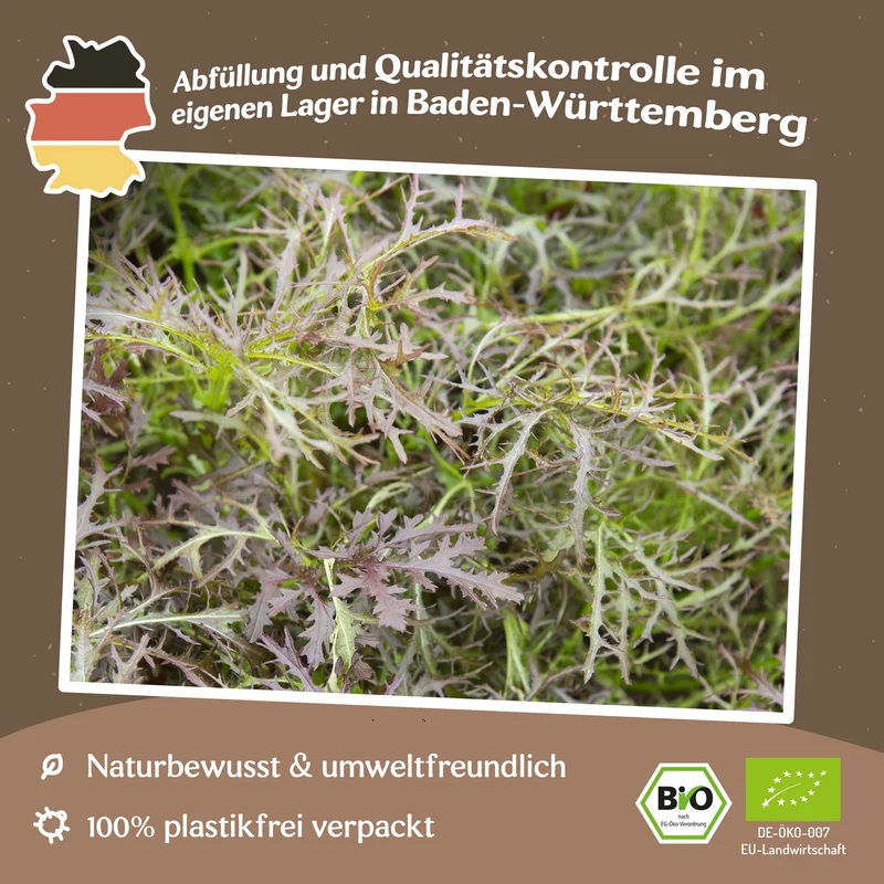 Bio-Blattsenf Purple Frills Samen MHD 06/27