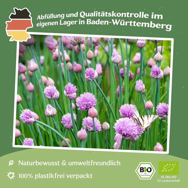 Bio-Thymian Deutscher Winter Samen