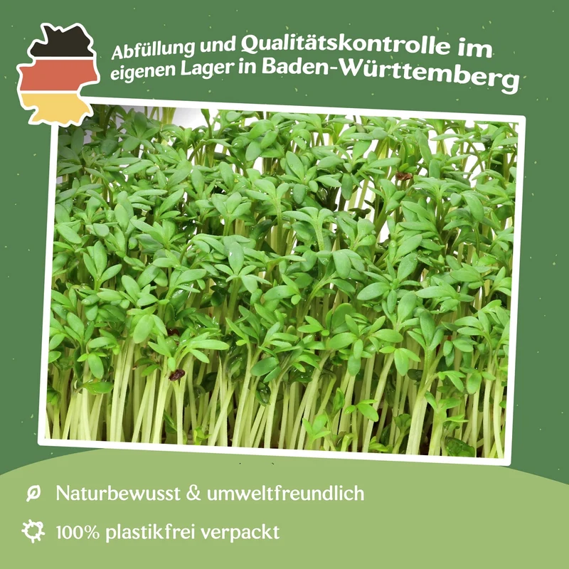 Gartenkresse Samen